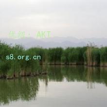 ǰ
